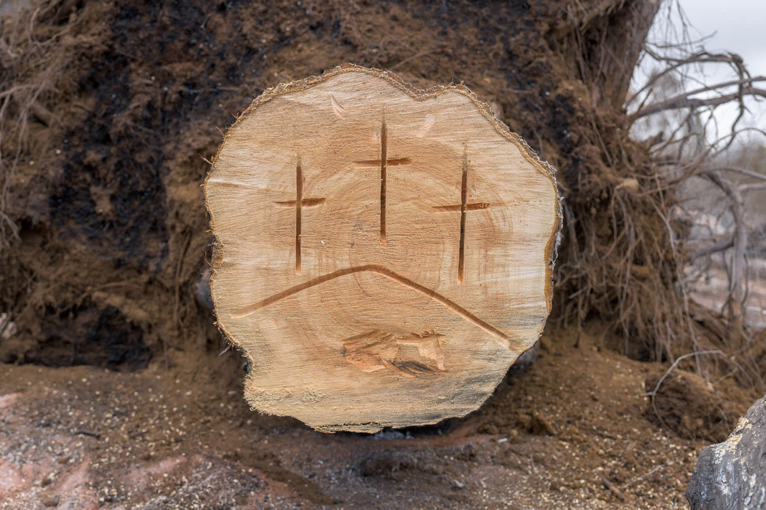 An art-savvy volunteer carved crosses into the stump of a cut tree.