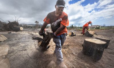 A Maui, Hawaii, local volunteer drags a heavy log along the scorched earth of the island's Upcountry. This volunteer's soot covered arms, shirt, and face are the tell-tale markings of work among the ashes of former homes and forests in this scorched paradise.